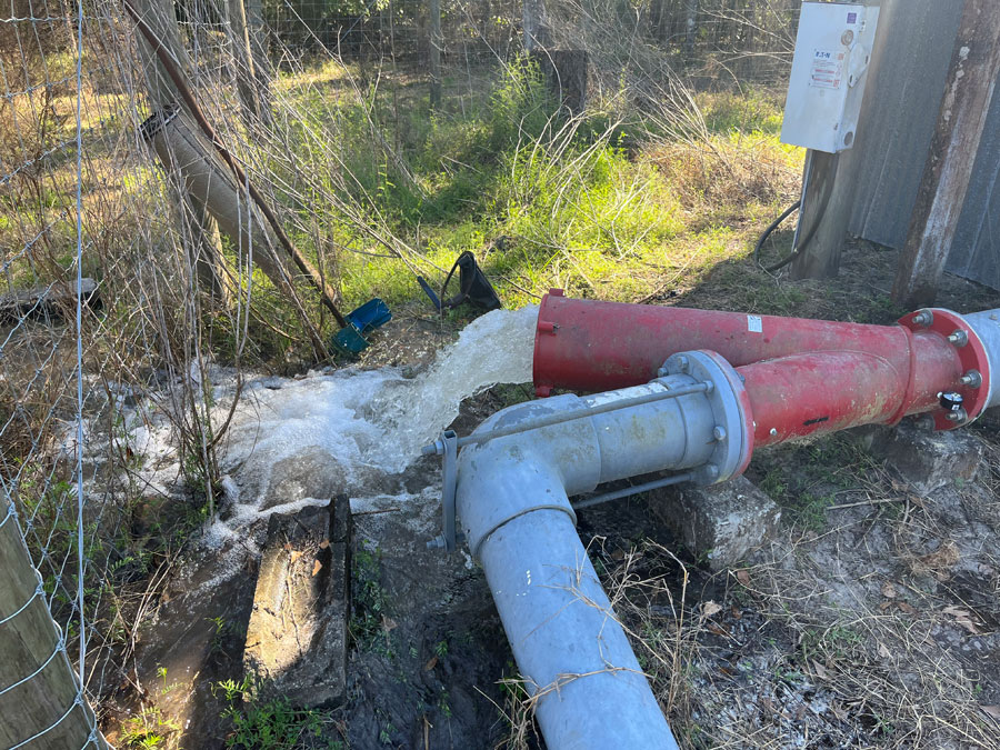 high purity water system